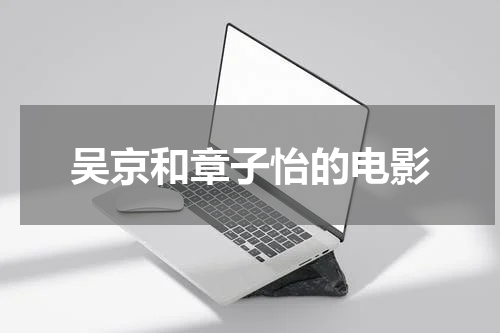 吴京和章子怡的电影