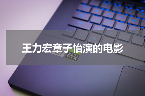 王力宏章子怡演的电影