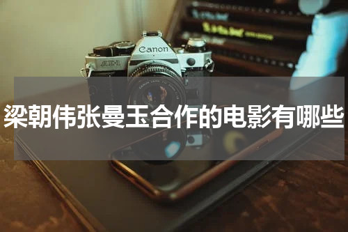 梁朝伟张曼玉合作的电影有哪些