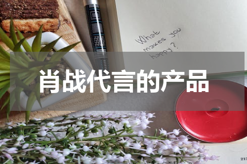 肖战代言的产品