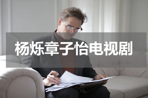 杨烁章子怡电视剧