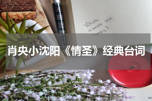 肖央小沈阳《情圣》经典台词