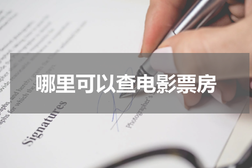 哪里可以查电影票房