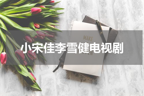 小宋佳李雪健电视剧