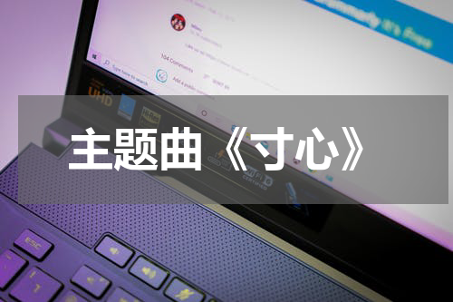 主题曲《寸心》
