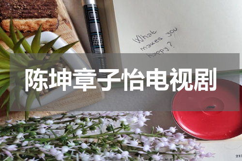 陈坤章子怡电视剧