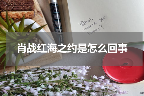 肖战红海之约是怎么回事