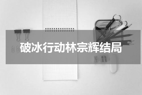 破冰行动林宗辉结局