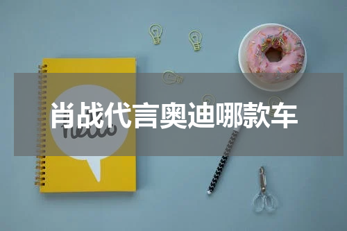 肖战代言奥迪哪款车