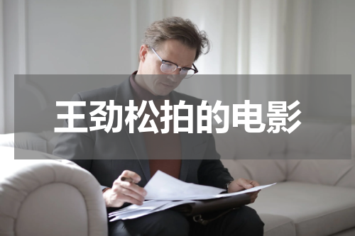 王劲松拍的电影