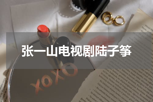 张一山电视剧陆子筝