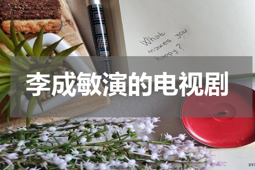 李成敏演的电视剧