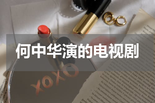 何中华演的电视剧