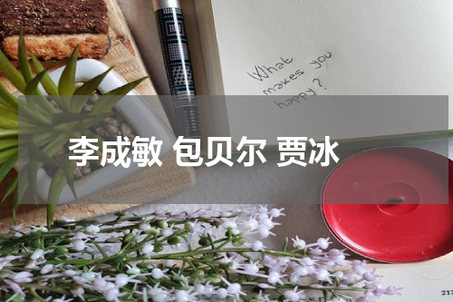 李成敏 包贝尔 贾冰