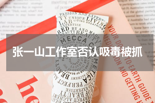 张一山工作室否认吸毒被抓