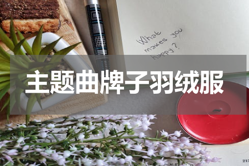 主题曲牌子羽绒服