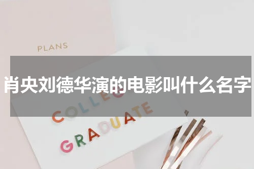 肖央刘德华演的电影叫什么名字