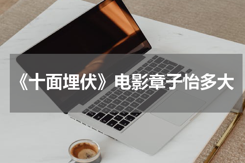 《十面埋伏》电影章子怡多大