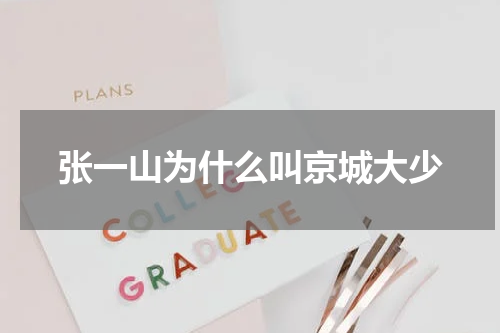张一山为什么叫京城大少