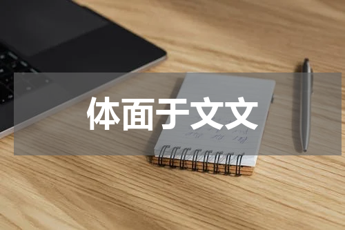 体面于文文