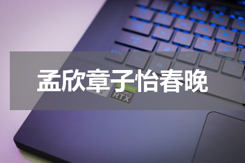 孟欣章子怡春晚