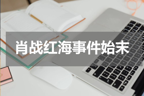 肖战红海事件始末