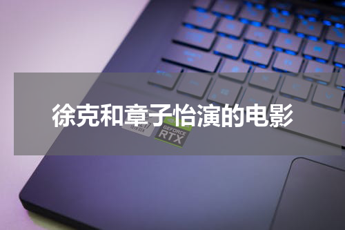 徐克和章子怡演的电影