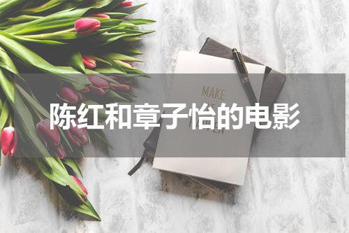 陈红和章子怡的电影