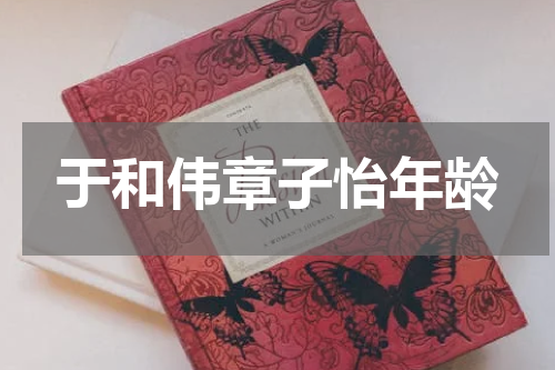 于和伟章子怡年龄
