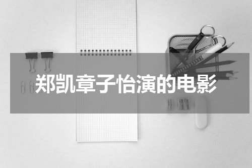 郑凯章子怡演的电影