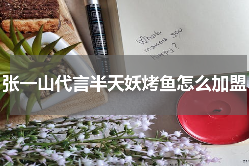 张一山代言半天妖烤鱼怎么加盟