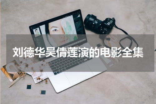 刘德华吴倩莲演的电影全集