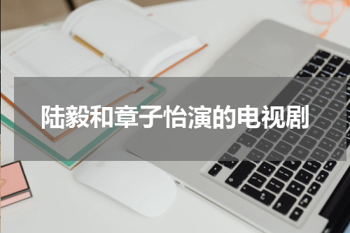 陆毅和章子怡演的电视剧