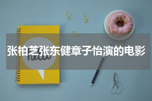 张柏芝张东健章子怡演的电影