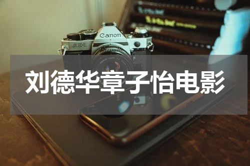 刘德华章子怡电影