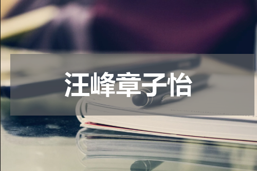 汪峰章子怡