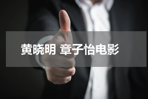 黄晓明 章子怡电影