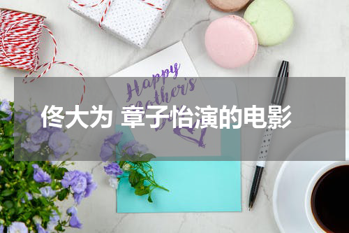 佟大为 章子怡演的电影