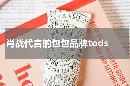 肖战代言的包包品牌tods