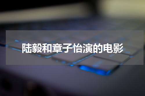 陆毅和章子怡演的电影