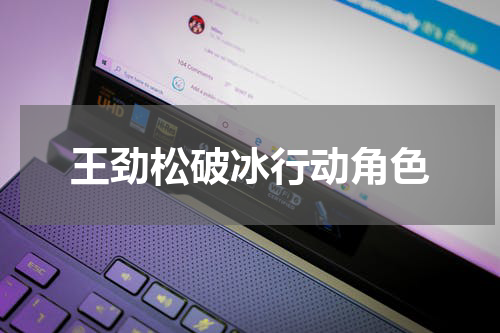 王劲松破冰行动角色