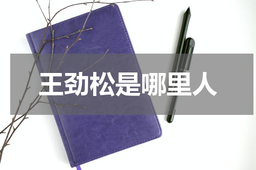 王劲松是哪里人