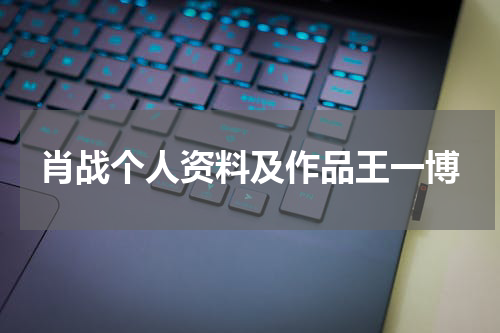 肖战个人资料及作品王一博