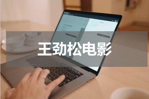 王劲松电影