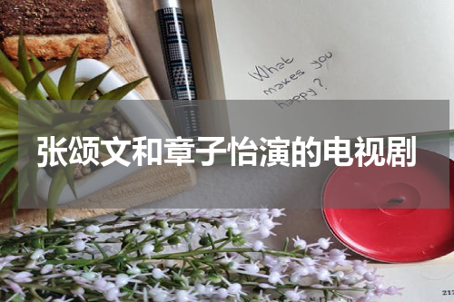 张颂文和章子怡演的电视剧