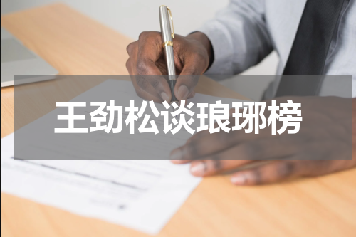 王劲松谈琅琊榜