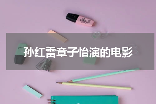 孙红雷章子怡演的电影