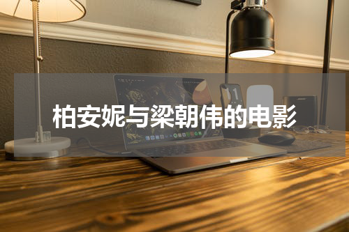 柏安妮与梁朝伟的电影