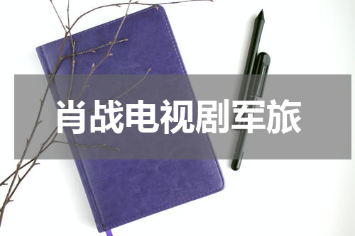 肖战电视剧军旅