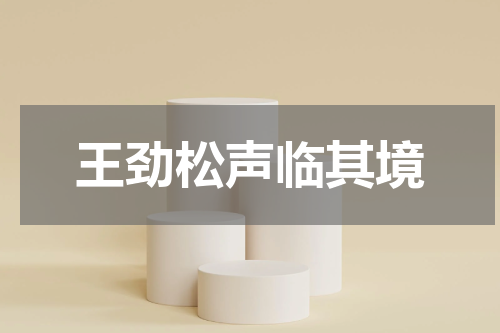 王劲松声临其境